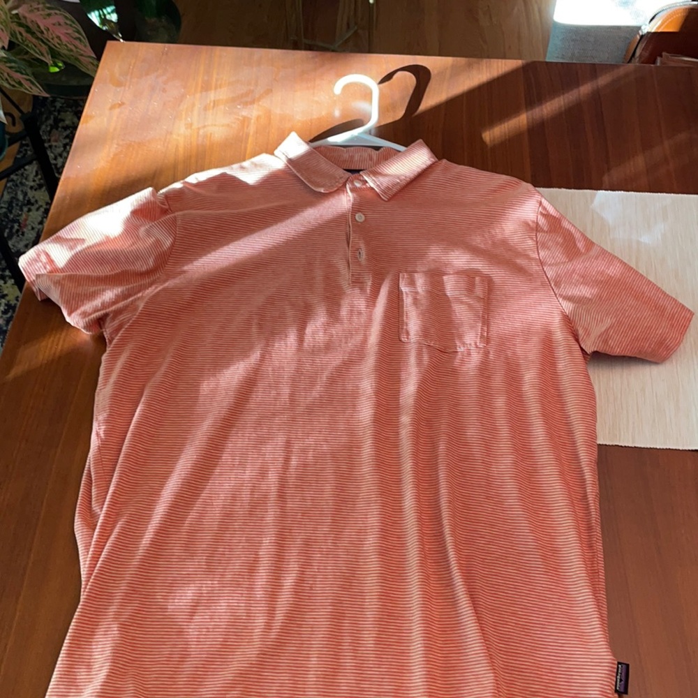 Patagonia cotton polo.